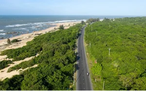 Discover the Serene Beauty of Ho Coc Beach: A Pristine Coastal Escape Near Ho Chi Minh City for Your Next Peaceful Vacation - image 9