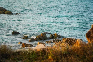 Discover the Serene Beauty of Ho Coc Beach: A Pristine Coastal Escape Near Ho Chi Minh City for Your Next Peaceful Vacation - image 2