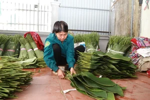 A Day in Hanoi's Lucrative Leaf-Picking Capital Preparing for Tet - image 5