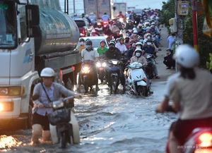 Ho Chi Minh City High Tides: Residents Isolated as Water Levels Reach Record Highs - image 10