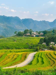 Experience the Golden Harvest: A Guide to Pu Luong’s Stunning Rice Terraces in June - image 2