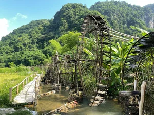 Experience the Golden Harvest: A Guide to Pu Luong’s Stunning Rice Terraces in June - image 3