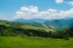 Experience the Golden Harvest: A Guide to Pu Luong’s Stunning Rice Terraces in June - image 1