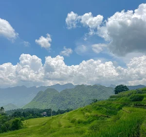Experience the Golden Harvest: A Guide to Pu Luong’s Stunning Rice Terraces in June - image 10