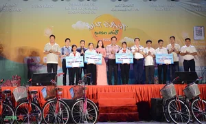 Mid-Autumn Festival 2024: Joyful Celebrations on Ly Son Island - image 8