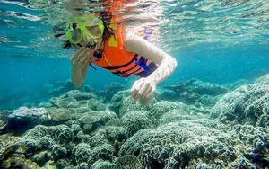 Discovering Đảo Bé: The Pristine Tropical Paradise Hidden Within Ly Son Island - image 5