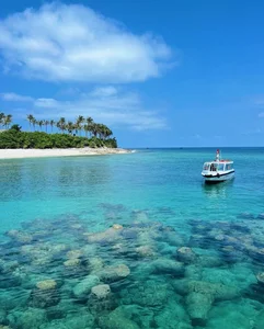 Discovering Đảo Bé: The Pristine Tropical Paradise Hidden Within Ly Son Island - image 7