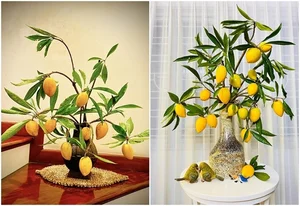 Fruit Branch Vase Arrangements: The Hottest Home Decor Trend in Vietnam for 2024 - image 8