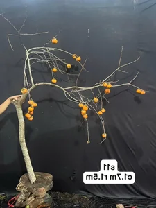 Fruit Branch Vase Arrangements: The Hottest Home Decor Trend in Vietnam for 2024 - image 5