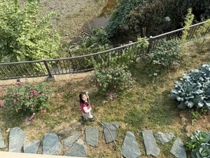 Inside MC Diem Quynh's Enchanting Rose Garden Home - image 1