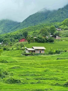 Affordable Healing Trip to Sa Pa: Enjoying the Green Rice Season for 1.8 Million VND - image 9