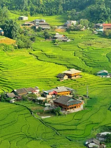 Affordable Healing Trip to Sa Pa: Enjoying the Green Rice Season for 1.8 Million VND - image 13