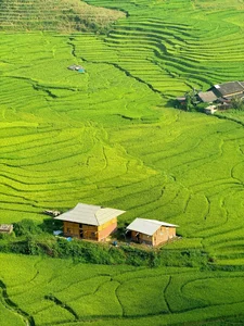 Affordable Healing Trip to Sa Pa: Enjoying the Green Rice Season for 1.8 Million VND - image 10