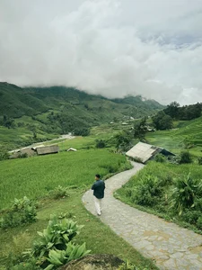 Affordable Healing Trip to Sa Pa: Enjoying the Green Rice Season for 1.8 Million VND - image 1