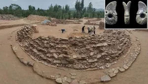 Unearthing History: Rare Dragon Artifact Discovered in Ancient Chinese Tomb - image 3