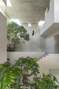 Split-Level Urban Oasis: Integrating Nature into a 500m2 Modern Home - image 26