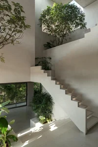 Split-Level Urban Oasis: Integrating Nature into a 500m2 Modern Home - image 12