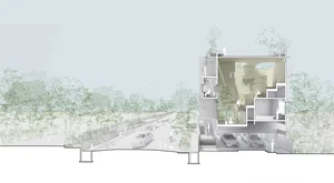Split-Level Urban Oasis: Integrating Nature into a 500m2 Modern Home - image 10