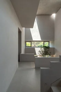 Split-Level Urban Oasis: Integrating Nature into a 500m2 Modern Home - image 14