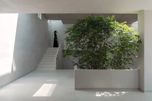 Split-Level Urban Oasis: Integrating Nature into a 500m2 Modern Home - image 11