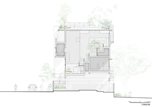 Split-Level Urban Oasis: Integrating Nature into a 500m2 Modern Home - image 7