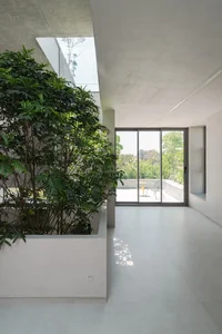 Split-Level Urban Oasis: Integrating Nature into a 500m2 Modern Home - image 5