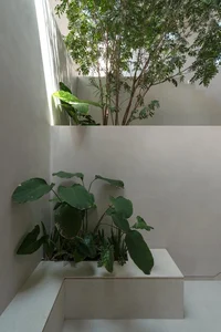 Split-Level Urban Oasis: Integrating Nature into a 500m2 Modern Home - image 23