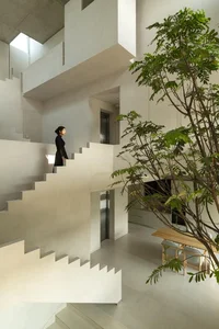 Split-Level Urban Oasis: Integrating Nature into a 500m2 Modern Home - image 1