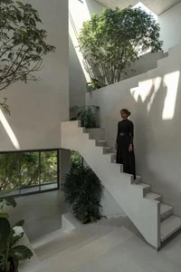 Split-Level Urban Oasis: Integrating Nature into a 500m2 Modern Home - image 20
