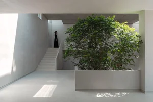 Split-Level Urban Oasis: Integrating Nature into a 500m2 Modern Home - image 8