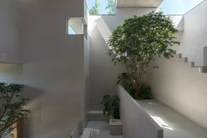 Split-Level Urban Oasis: Integrating Nature into a 500m2 Modern Home - image 16