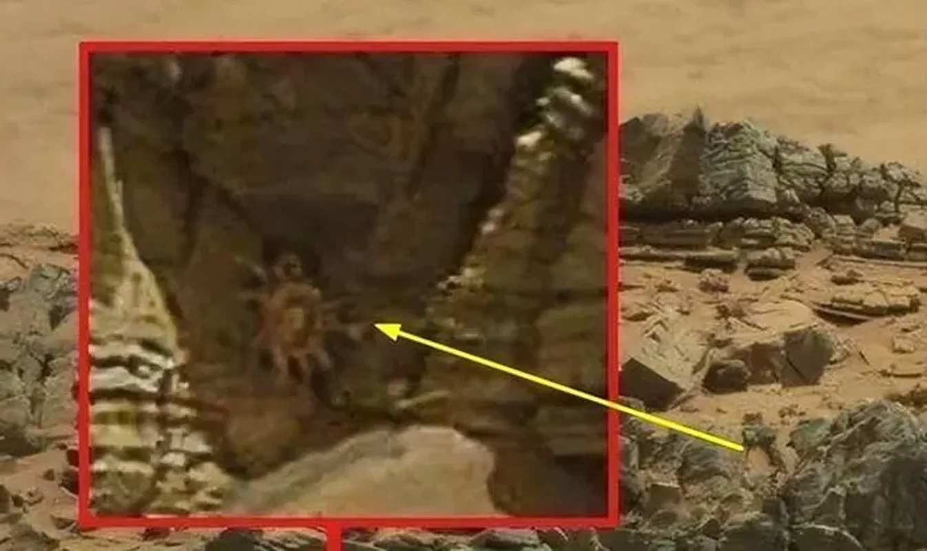 The Mystery of the Tiny Skeleton Found on Mars: Fact or Pareidolia?