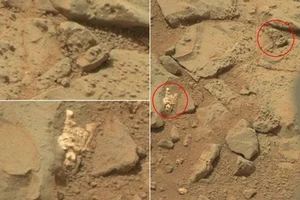 The Mystery of the Tiny Skeleton Found on Mars: Fact or Pareidolia? - image 3