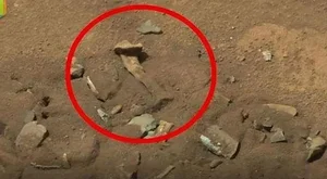 The Mystery of the Tiny Skeleton Found on Mars: Fact or Pareidolia? - image 7