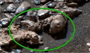 The Mystery of the Tiny Skeleton Found on Mars: Fact or Pareidolia? - image 4