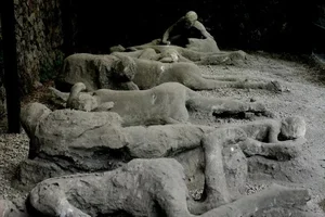 New Discoveries About Life After the Pompeii Volcanic Disaster - image 0