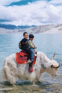 Exploring Xinjiang: A 30-Day Fairy-Tale Self-Driving Adventure Through China's Hidden Landscapes - image 3
