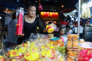 The Jade Emperor Festival: Celebrating Tradition in the Chinese Community of Ho Chi Minh City - image 0