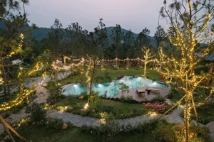 Inside Singer Trong Tan's Stunning 4,000m2 Pine Forest Villa - image 1