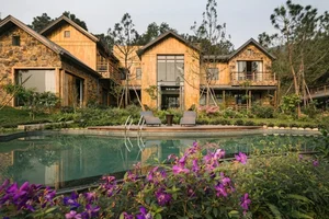 Inside Singer Trong Tan's Stunning 4,000m2 Pine Forest Villa - image 7
