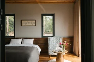 Inside Singer Trong Tan's Stunning 4,000m2 Pine Forest Villa - image 4