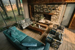 Inside Singer Trong Tan's Stunning 4,000m2 Pine Forest Villa - image 2