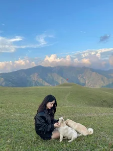 Ta Xua Steppe: Discovering the Little Switzerland of Northern Vietnam - image 4