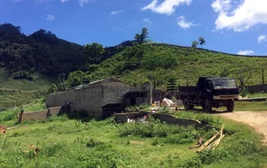 Inside the High-Stakes Raid Against Drug Lords in Long Luong - image 6