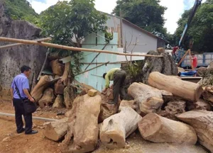 Inside the High-Stakes Raid Against Drug Lords in Long Luong - image 16