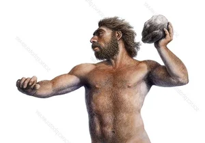 10 Surprising Facts About Neanderthals That Challenge Modern Perceptions - image 4