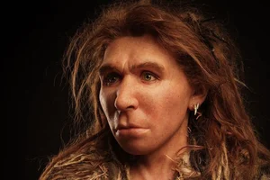 10 Surprising Facts About Neanderthals That Challenge Modern Perceptions - image 1