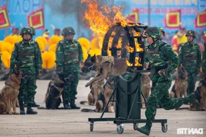 Vietnam International Defense Expo 2024: Spectacular Rehearsal Showcases Modern Military Power and Global Partnerships in Hanoi - image 2