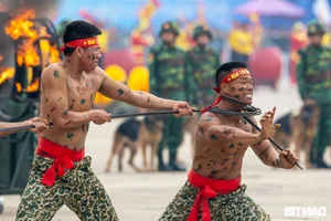 Vietnam International Defense Expo 2024: Spectacular Rehearsal Showcases Modern Military Power and Global Partnerships in Hanoi - image 4