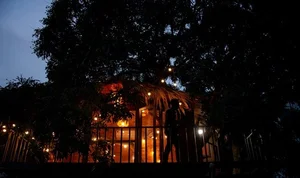 The Architectural Marvel of Hanoi’s Famous Treehouse: A 130 Million VND Retreat - image 4